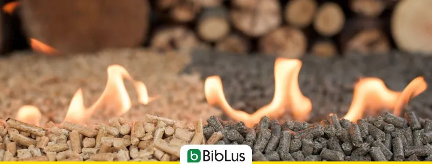 Generatori di calore a biomassa: in arrivo nuove classi ambientali per caldaie, stufe e apparecchi domestici