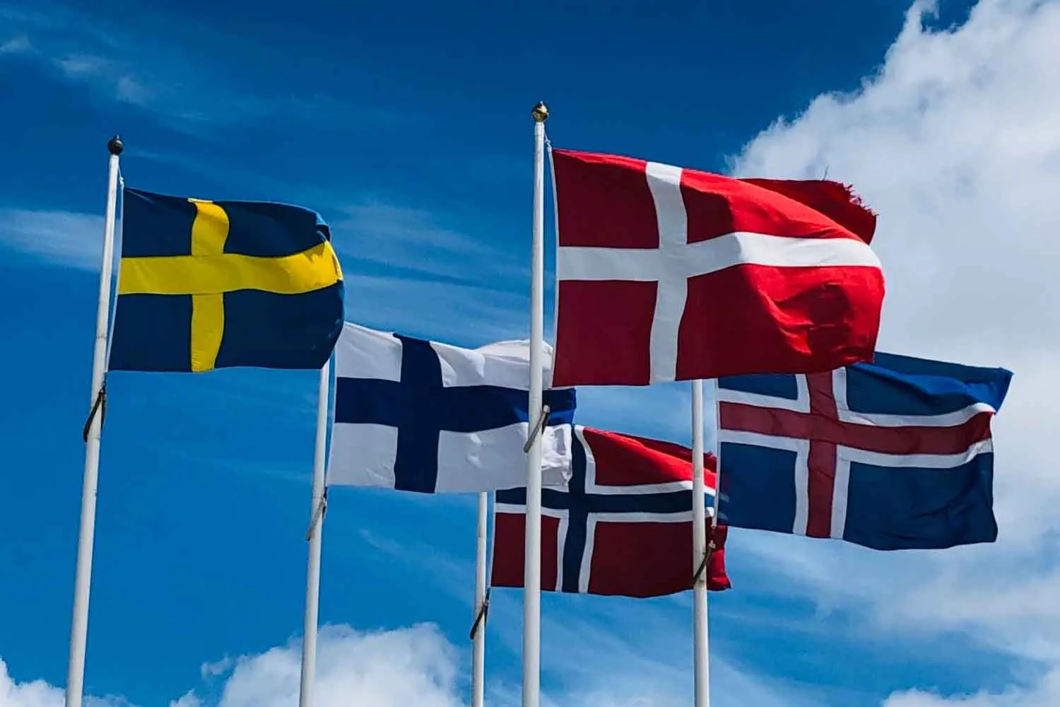 Finlandia e Svezia hanno costruito così tante centrali a energia rinnovabile che devono letteralmente pagare le persone per usarle