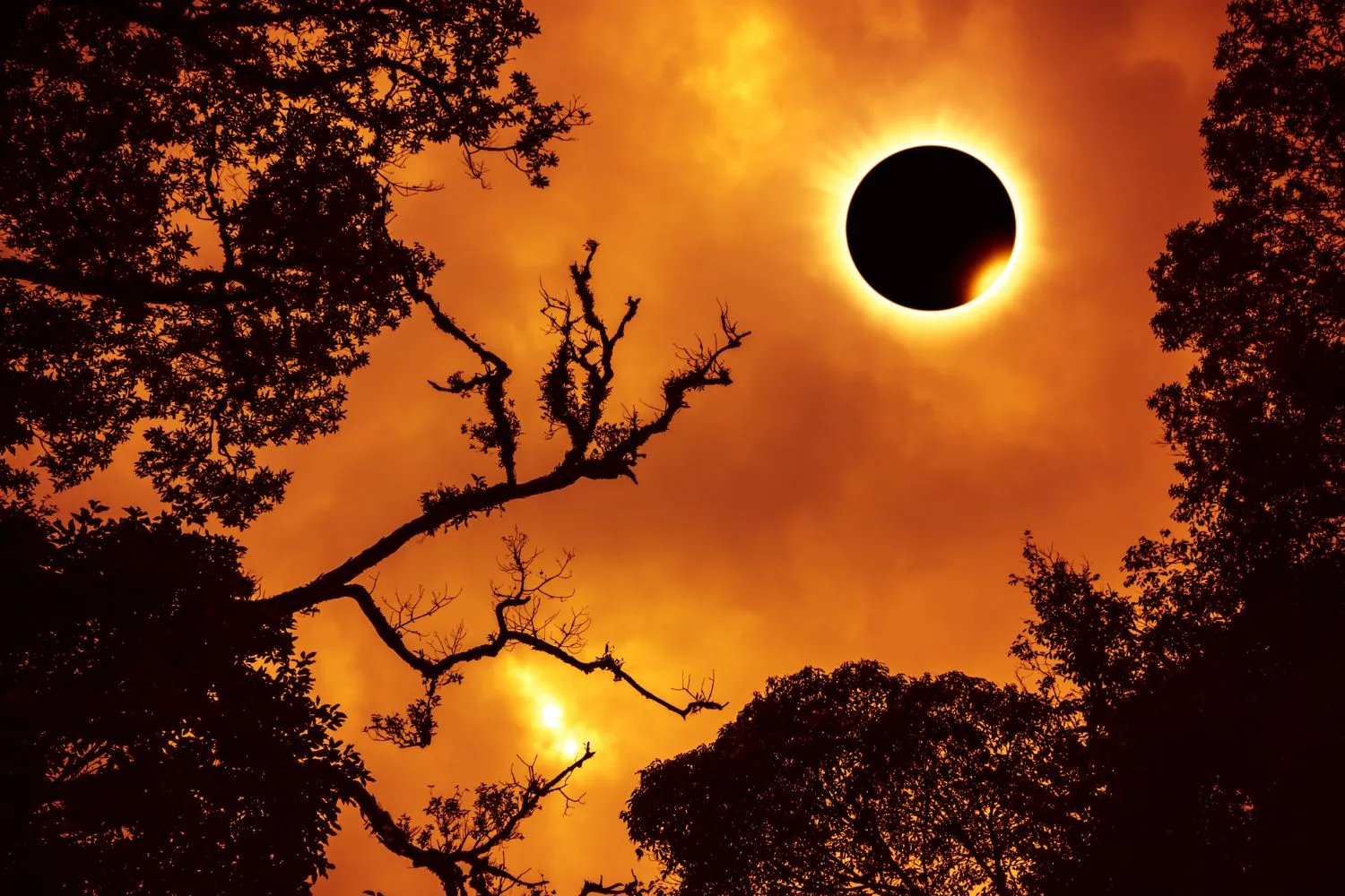 Naso all'insù per la storica eclissi solare del 12 agosto: ecco i posti migliori dove ammirarla in Italia