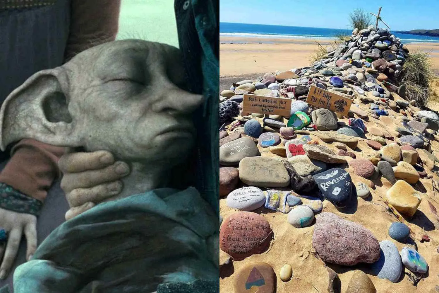 I fan di Harry Potter salvano la tomba di Dobby: deviato il percorso del cavo elettrico sottomarino Greenlink (grazie alla loro mobilitazione)
