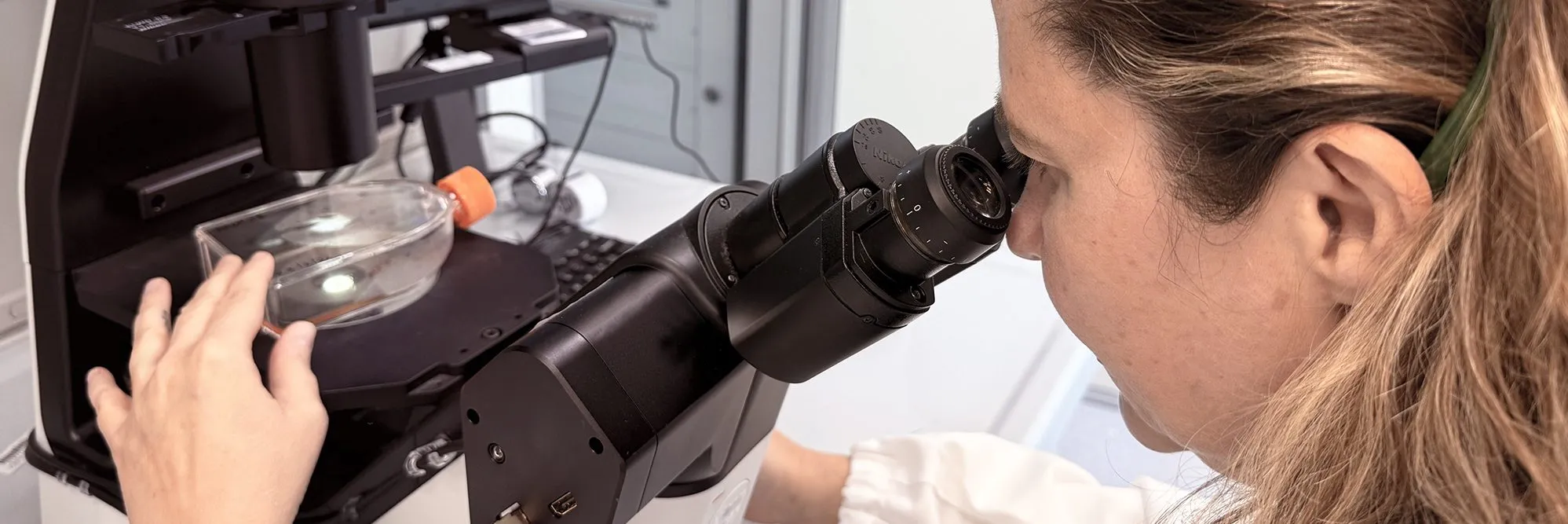 Cellule Nk ingegnerizzate: dal Bambino Gesù nuova piattaforma “3 in 1” che aggira le difese del tumore - AboutPharma