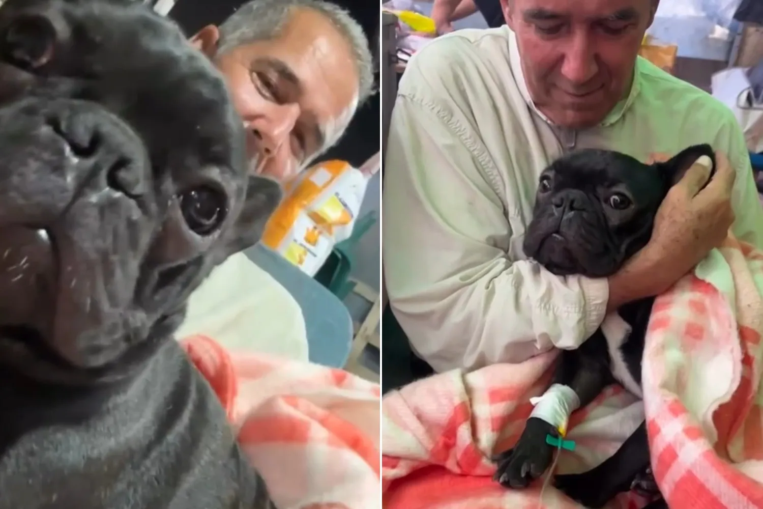 Cane salvato dopo 16 giorni dal terremoto in Venezuela: l’emozionante abbraccio con il suo amico umano (che non ha smesso di cercarlo)