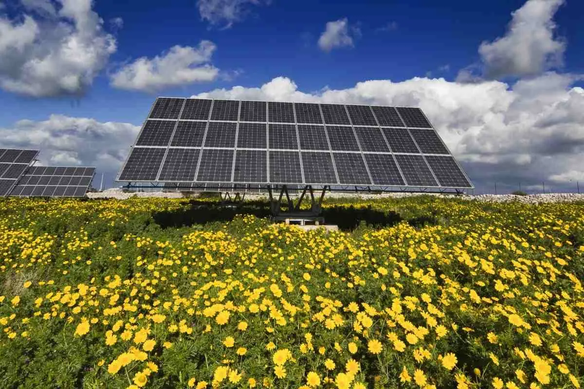 Sicilia agrivoltaico protagonista nelle procedure ambientali