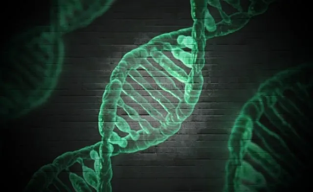 Life Sciences: Dassault Systèmes acquisirà ArisGlobal per 1,8 miliardi di dollari