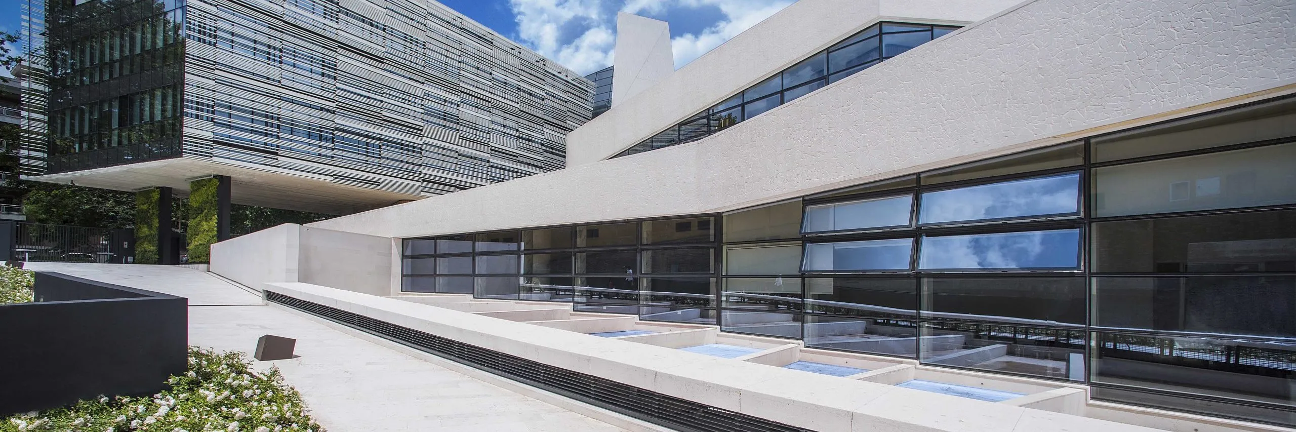 Angelini Pharma punta sulla salute del cervello e acquisisce Catalyst con Cdp e Blackstone - AboutPharma