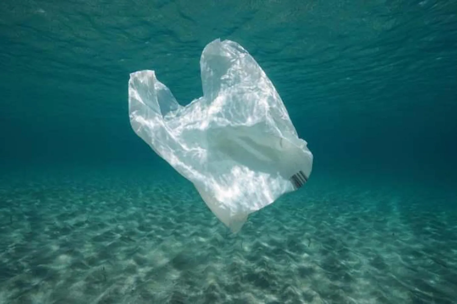 Vietare (e tassare) i sacchetti di plastica funziona! In questo Paese il numero dei rifiuti sulle coste si è quasi dimezzato