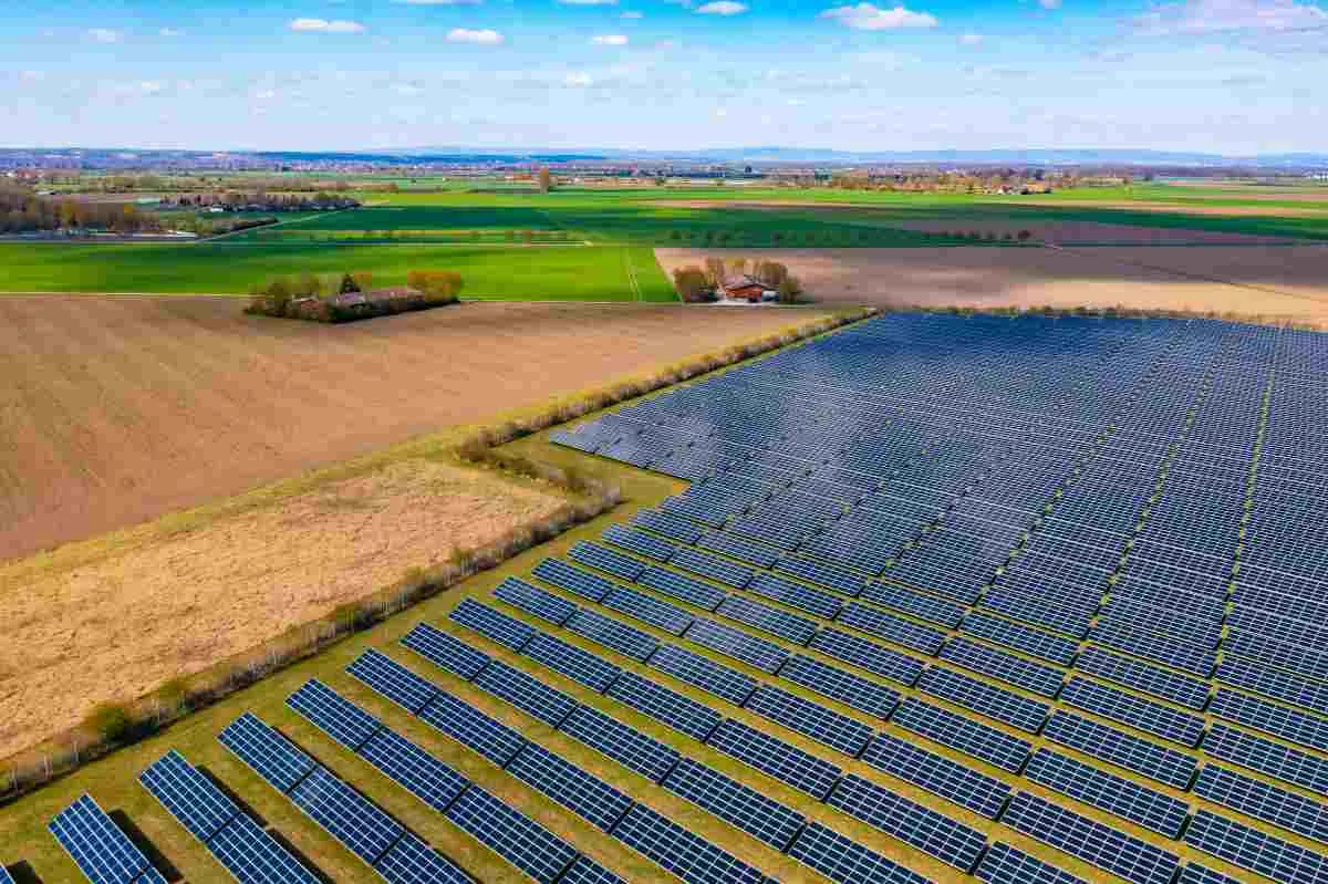 L’udienza alla Consulta su Dl Agricoltura e fotovoltaico