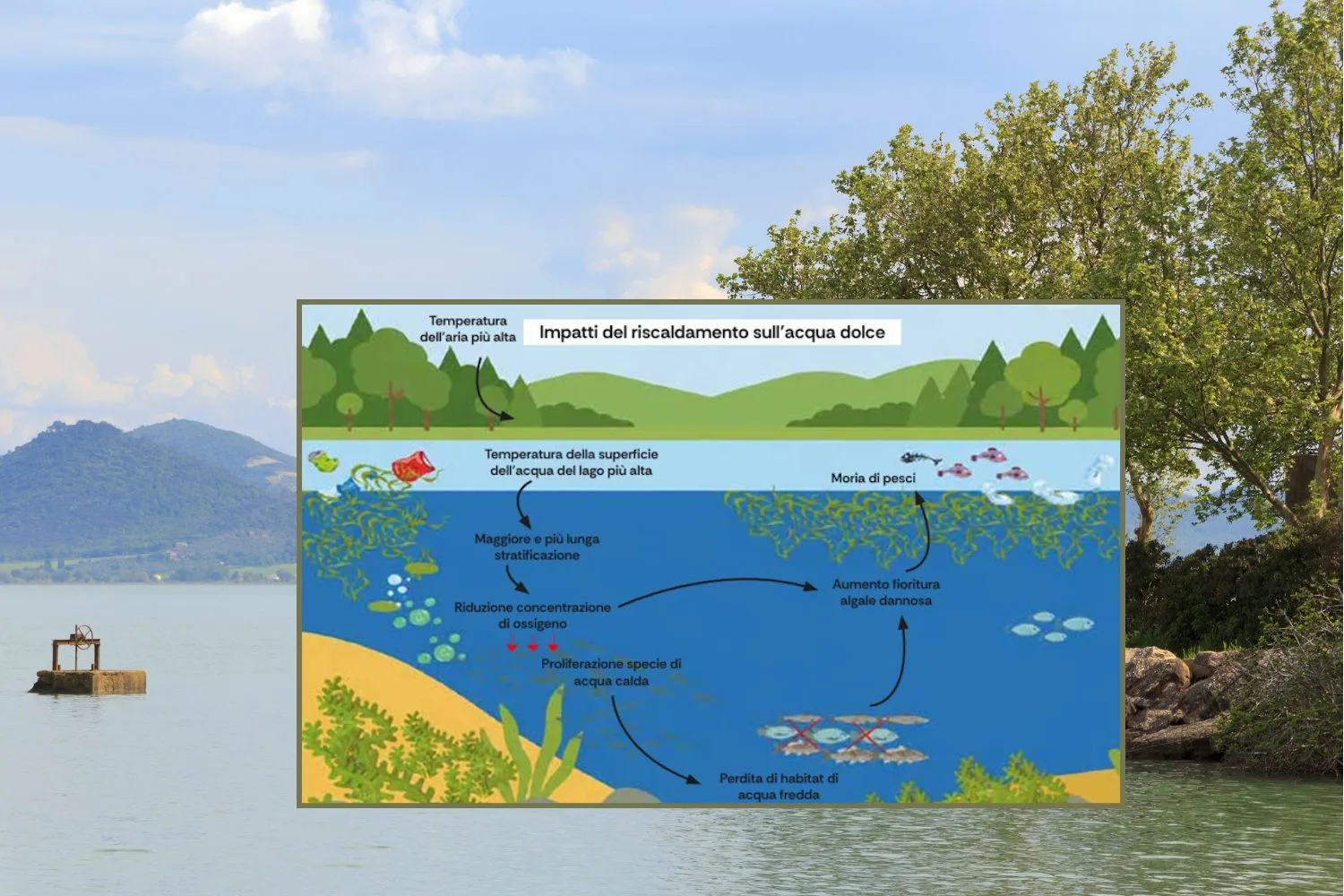 Il grido silenzioso dei laghi italiani, fra siccità, inquinamento e PFAS: dal Maggiore al Trasimeno, i bacini più a rischio