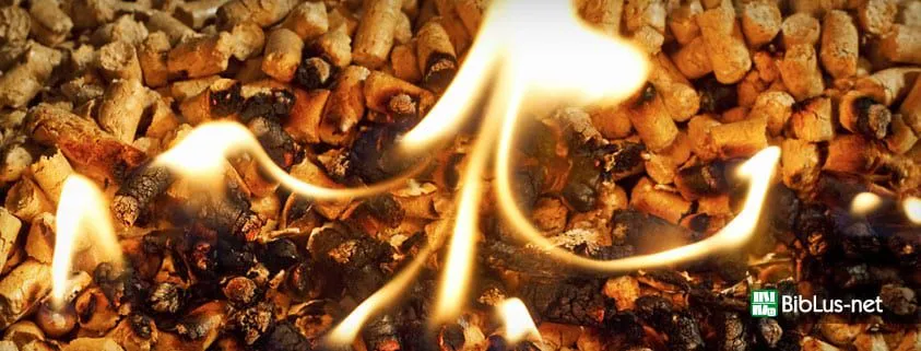 Certificazione generatori a biomasse, le norme da sapere