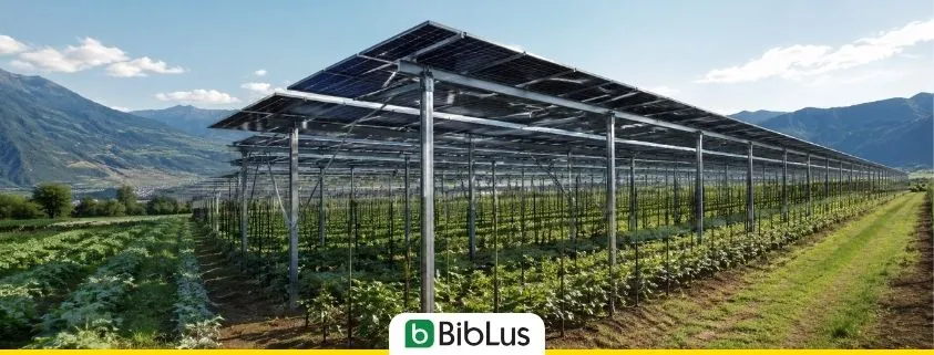 Agrivoltaico: limiti troppo rigidi senza istruttoria tecnica? Il regolamento è illegittimo