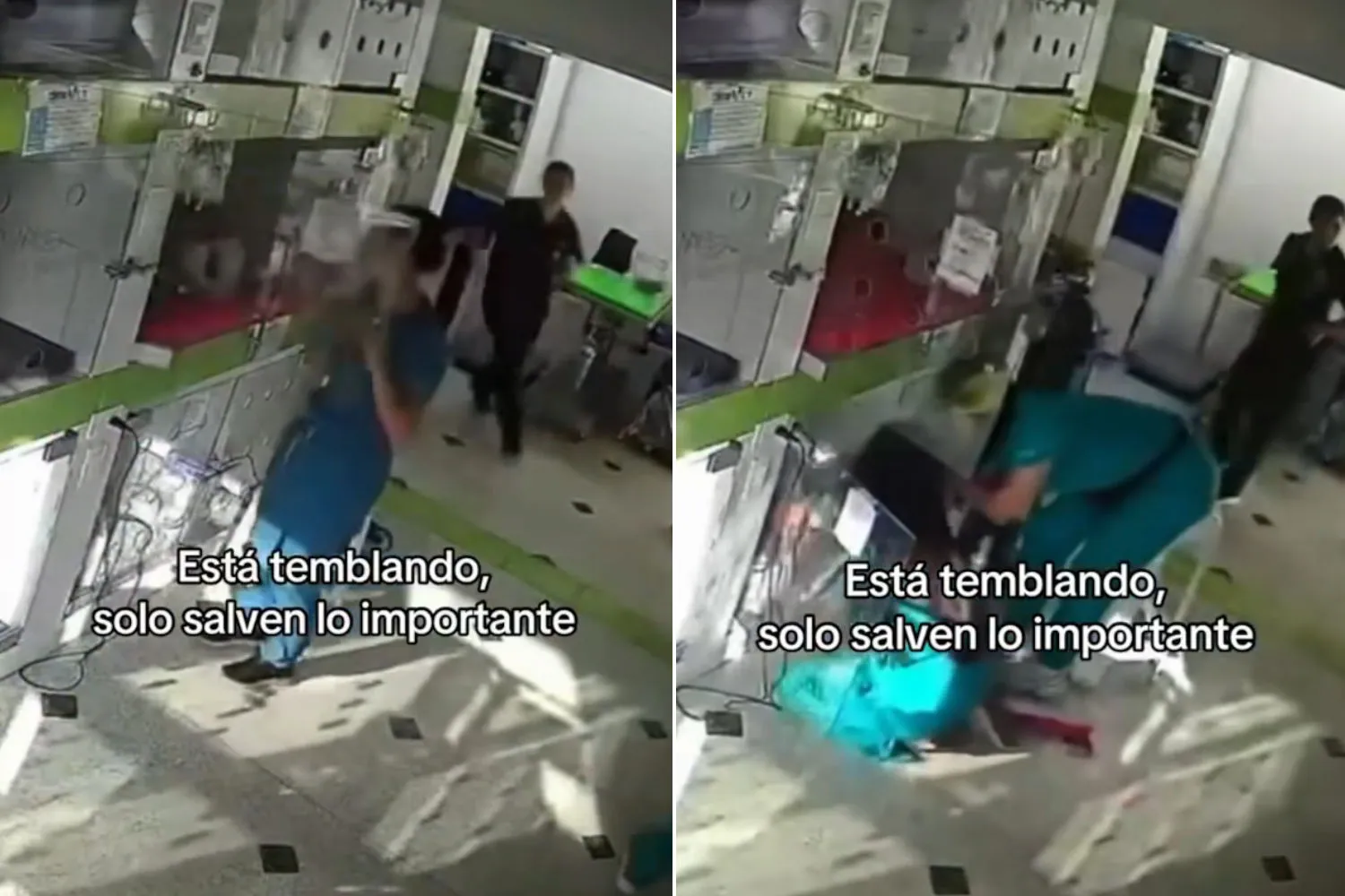 Gli eroi del terremoto in Colombia: dalla giovane morta facendo da scudo al suo cane alle veterinarie che hanno salvato gli animali
