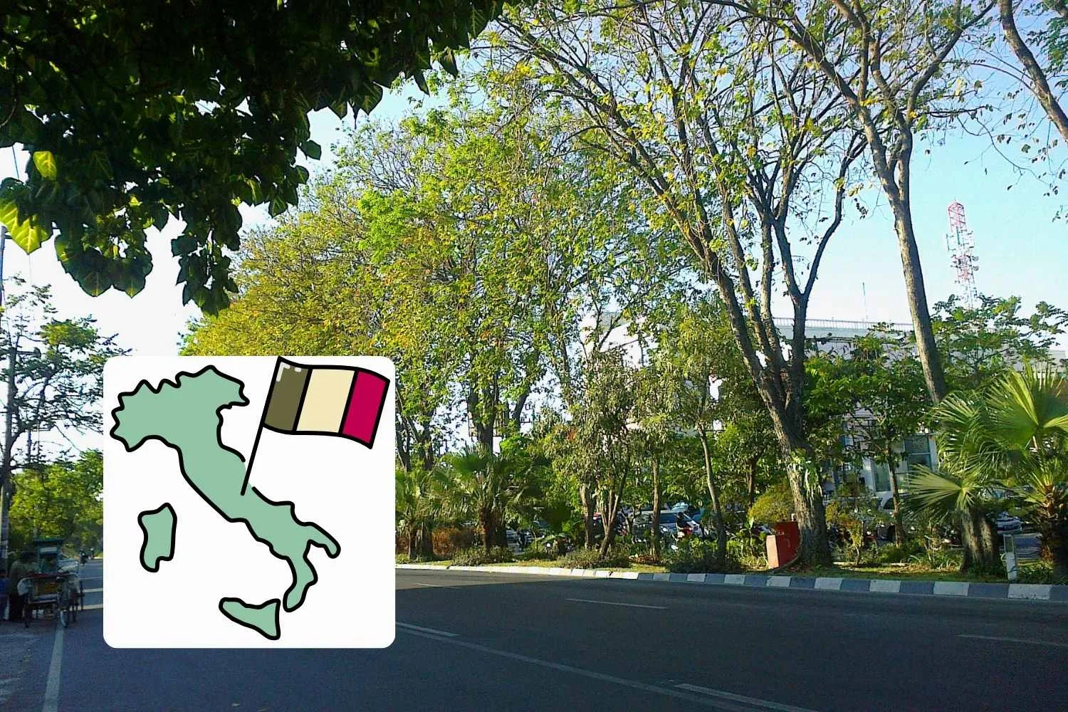 Queste sono le città italiane con più alberi: a dominare la classifica verde un comune dell'Emilia
